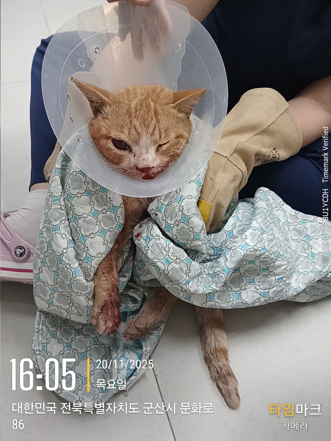 종료(자연사) 믹스…